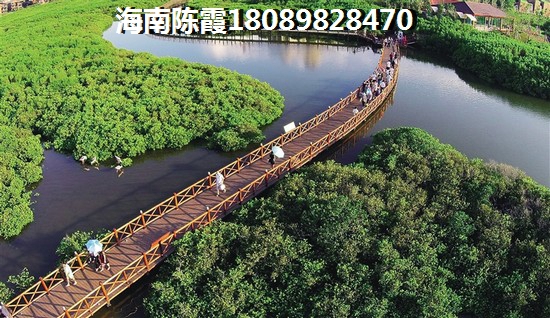 ç½éæµ·å²¸ææ7