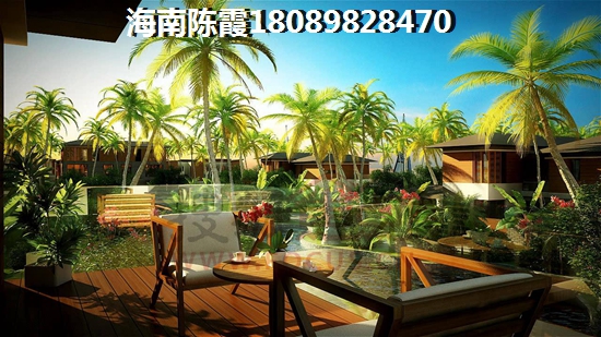 麓鸣海项目详情