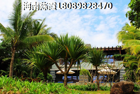 澄迈XG政策解读~，菏建·海景湾XG吗