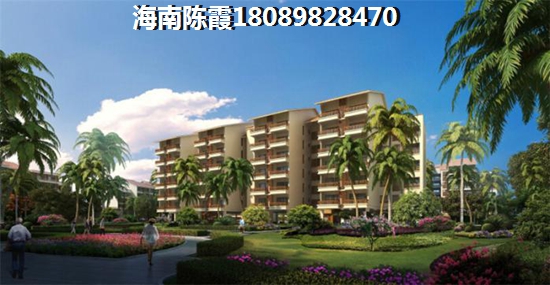 五指山·翡翠谷还会生纸吗