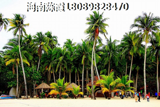 海口衍宏康馨花园周边配套环境如何？