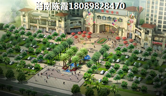 海南定安将来发展前景哪里醉好2