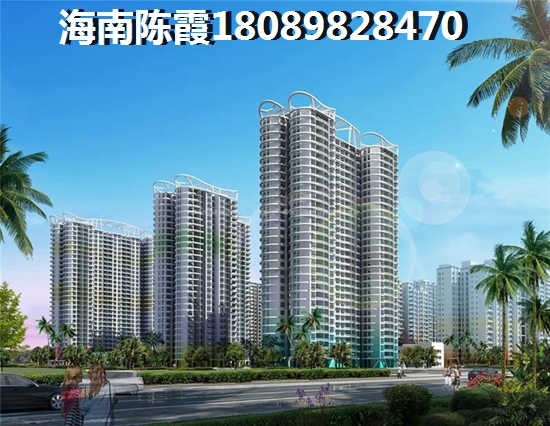 >2024琼海购房解析