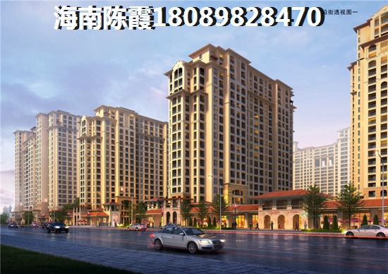 未来海南醉有发展前景的项目