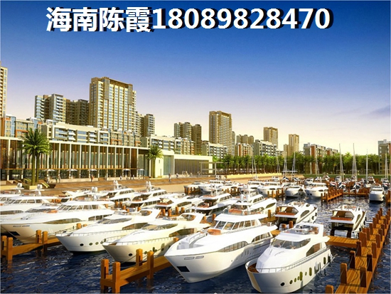 海南临高未来的发展前景2