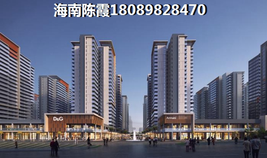 >2024海口购房指南