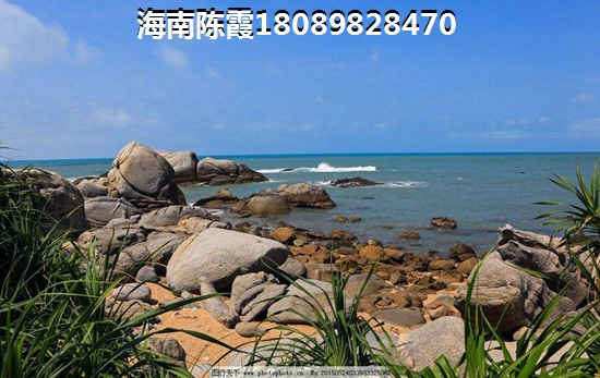 《新月南海嘉园》配套及优缺点