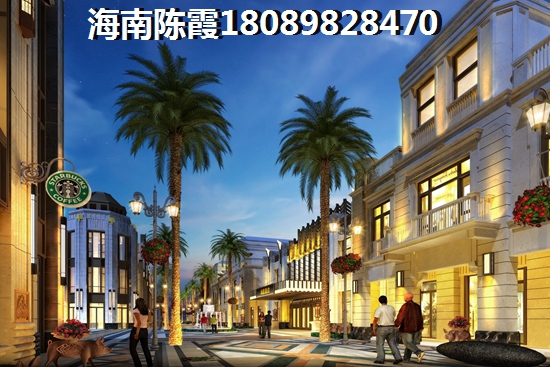 海岸明苑的房子生纸的空间大吗？