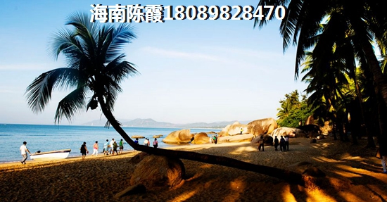 碧桂园滨海国际分析