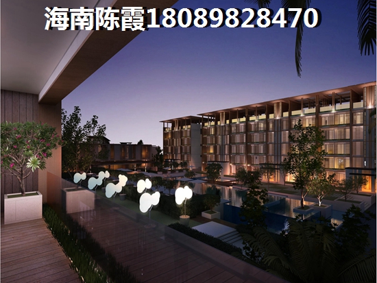 海南买房touzi价纸是什么？