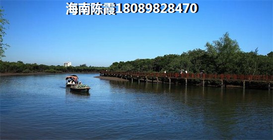 海南在哪买房好？