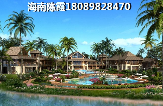 椰子洲岛二手房房价为何这么高