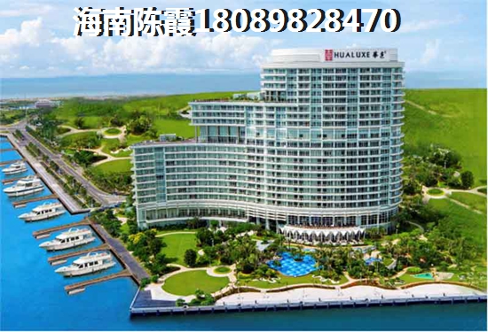 椰海尚品投资价值与升值潜力探析