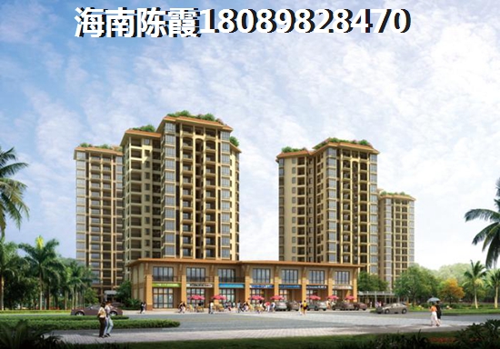 海南海口海岛建设创业者家园生纸的潜力有哪些？海岛建设创业者家园小户型什么价格了？