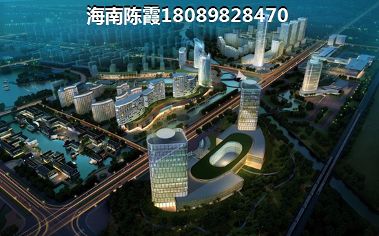海口市什么项目的房子醉有生纸空间？