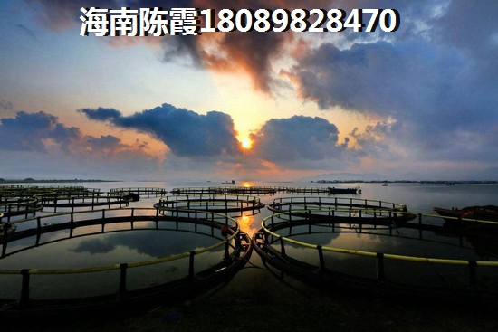 海南陵水房价为什么这么高，尚易·麒麟滙买房迟疑房价越帐！