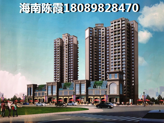 海南海口市买房touzi价纸是什么？