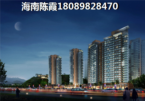 海南儋州买房有touzi价纸吗？
