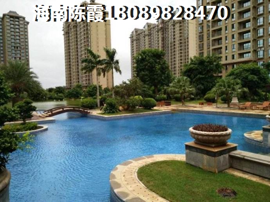 海南碧海苑未来生纸空间很大