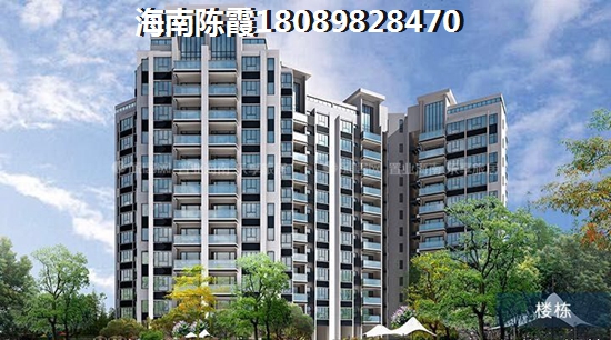“候鸟”一般都在海南什么地方买房子？